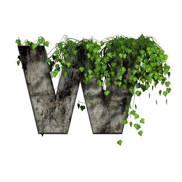 Green ivy on 3d stone letter - w — Stock Photo, Image