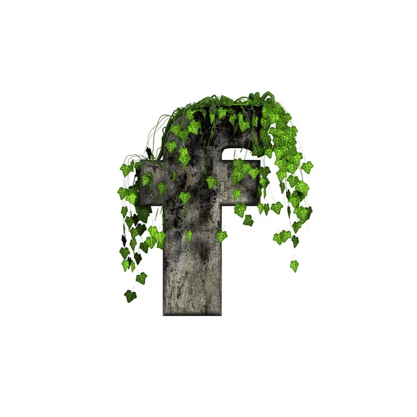 Зеленый плющ на 3d каменная буква - ф — стоковое фото