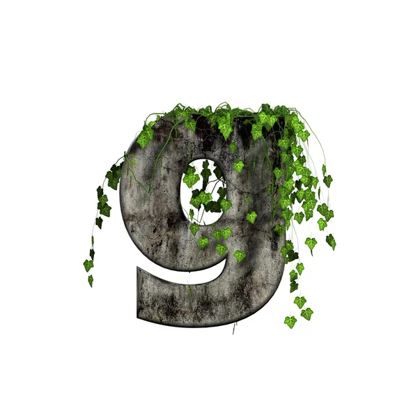 Zelená ivy na 3d kamenná dopisu - g — Stock fotografie