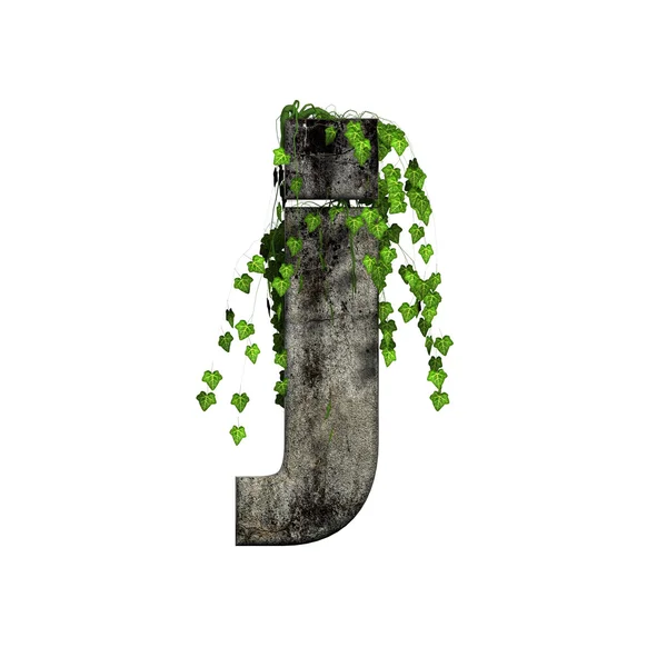 Зелений плющ на 3d кам'яній літери - j — стокове фото