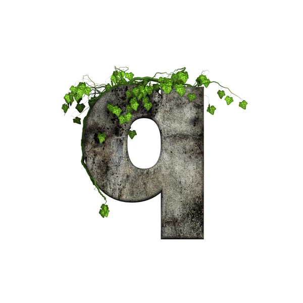 Green ivy on 3d stone letter - q — Stock Photo, Image