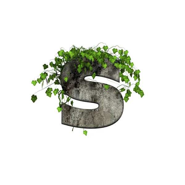 Green ivy on 3d stone letter - s — Stock Photo, Image