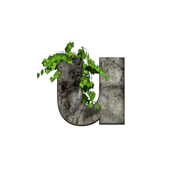 Ivy a 3D-s kő-levél - zöld u — Stock Fotó