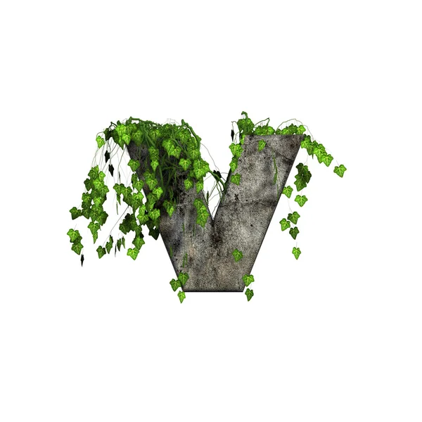 Grüner Efeu auf 3d Stein Buchstabe - v — Stockfoto