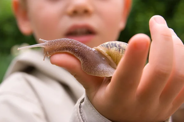 Stock image Child and snail