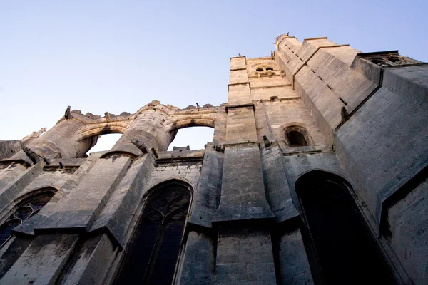 Dijon Katedrali — Stok fotoğraf