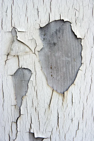 오래 된 그려진된 나무 — 스톡 사진