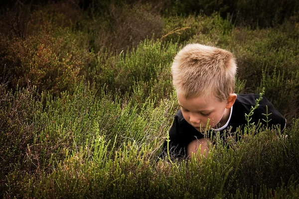 Dziecko w naturze — Zdjęcie stockowe