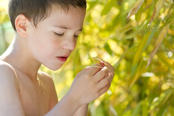 Young child in nature — Stock Photo, Image