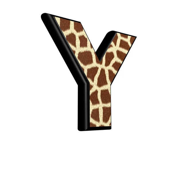 3d letter with giraffe fur texture - Y — Stock Photo, Image