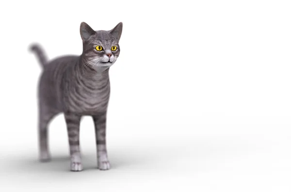 3D grå katt — Stockfoto