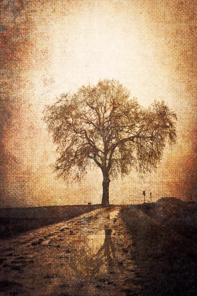 Винтажная картина дерева — стоковое фото