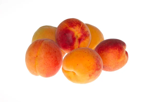 stock image Apricots on white background