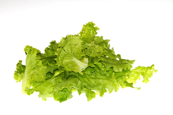 stock image Salad isolated on white background