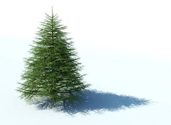 Kerstboom op witte achtergrond — Stockfoto