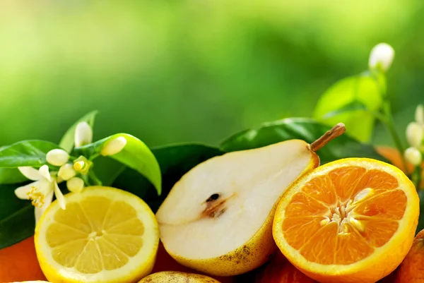 Gesneden peren en citrusvruchten. — Stockfoto