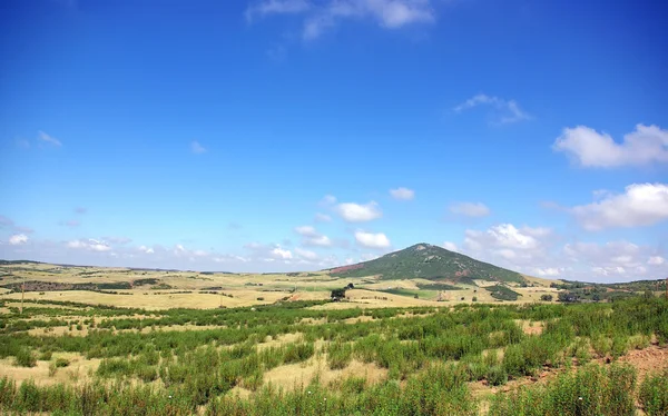 Krajina, pole poblíž mertola, Portugalsko. — Stock fotografie