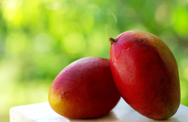 Två tropisk mango frukt. — Stockfoto