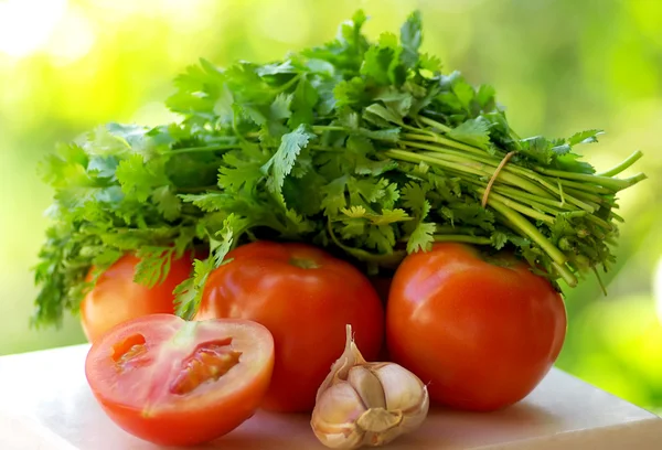 Tomaat, knoflook en groene koriander. — Stockfoto
