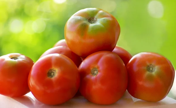 Red tomatoes on table. — Stock Photo, Image