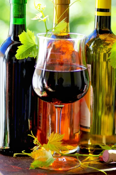 Бокал красного вина и виноградные листья — стоковое фото