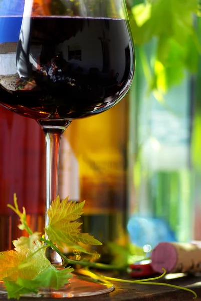 Botella de vino tinto con hojas de vidrio . —  Fotos de Stock