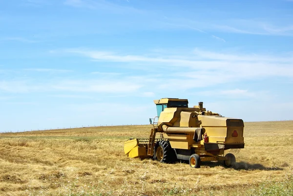 Combinar cosechadora trabajando un campo de trigo en Portugal . —  Fotos de Stock