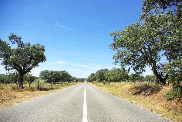 Silnice v oblasti alentejo, Portugalsko. — Stock fotografie