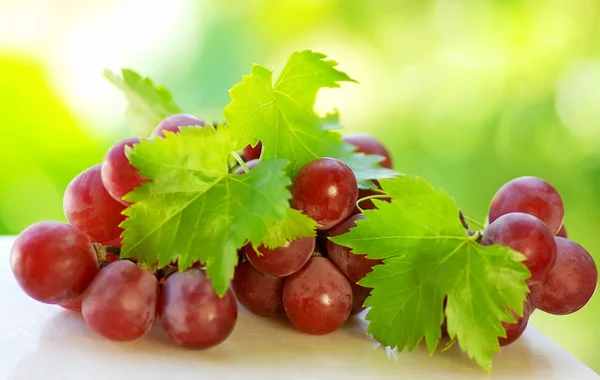 Bunch of grapes on green background — Stock Photo, Image