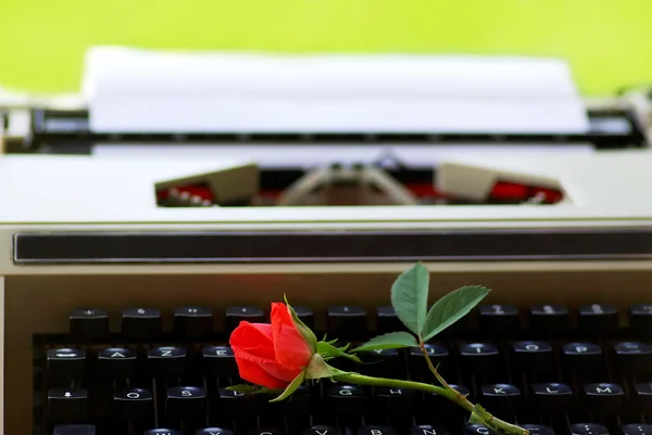 Red rose on keyboard of old Typing machine — Stock Photo, Image