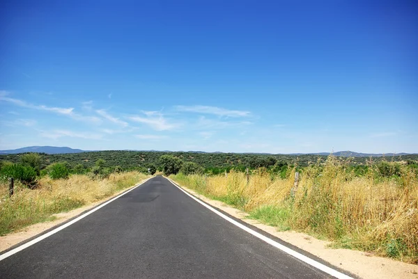 Estrada rural em Portugal, região do Alentejo . — Fotografia de Stock