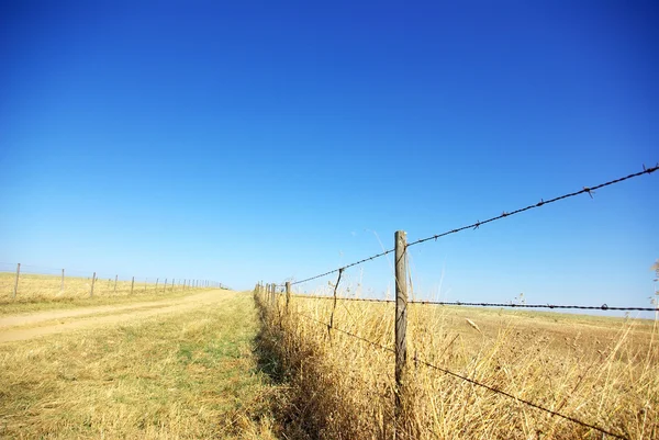 Portekiz, mavi gökyüzü ile dikenli tel çit. — Stok fotoğraf