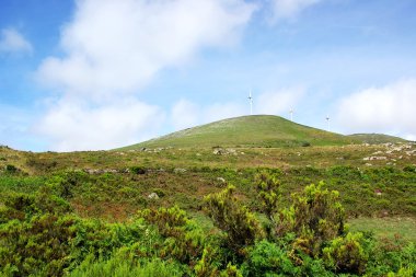 Landscape of National park of Geres, Portugal. clipart