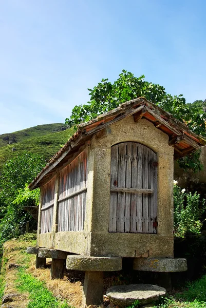 Espigueiros - gudang tua dan khas untuk menyimpan jagung dan spike — Stok Foto