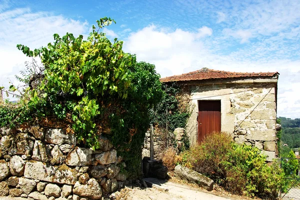在葡萄牙北部的老房子. — 图库照片
