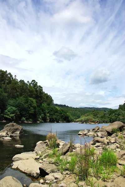 stock image Landscape of Minho river, north of Portugal.