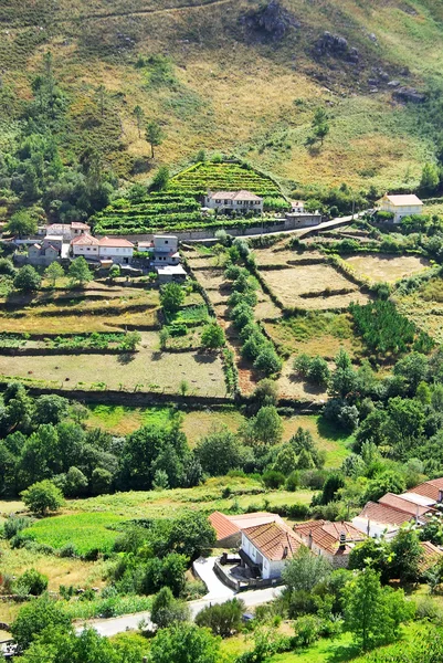 Vesnické domy, regionu minho, Portugalsko Stock Snímky