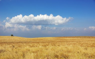 alentejo bölgesi, Portekiz, kırsal alan.