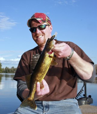 Golden walleye on a lake clipart