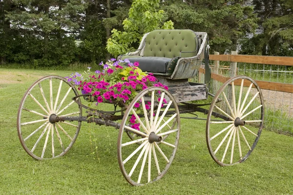 Vintage häst buggy — Stockfoto