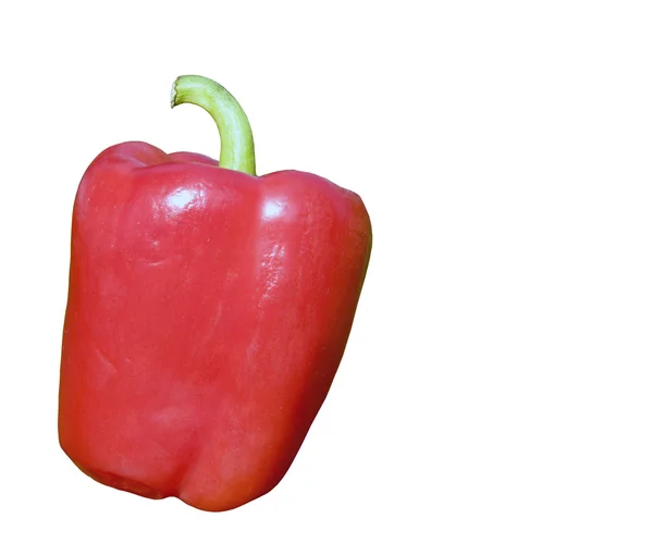 Red bell pepper isolated — Stock Photo, Image