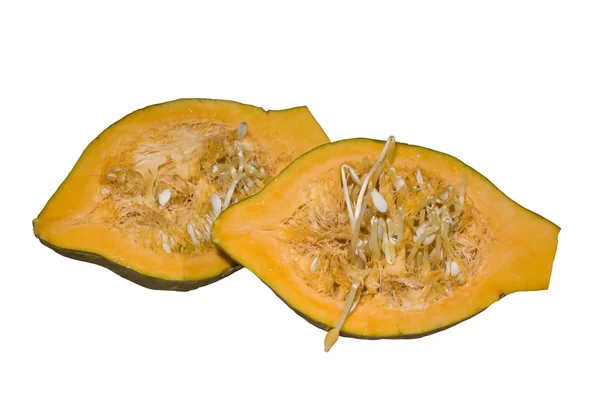 stock image Hubbard squash halves