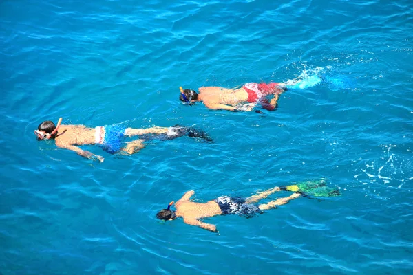 stock image Snorkeling