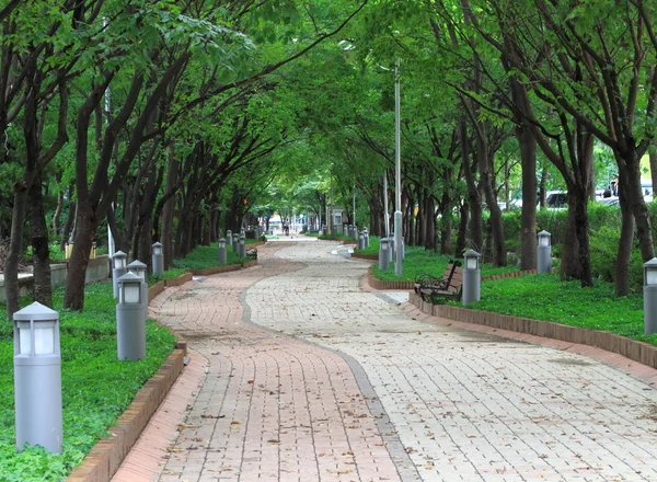 stock image Pathway