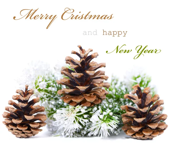 stock image Christmas greeting card with cones