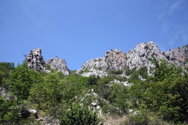 Rock w parku narodowym paklenica — Zdjęcie stockowe