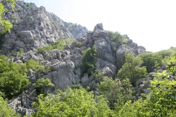 Rocher dans le parc national Paklenica — Photo