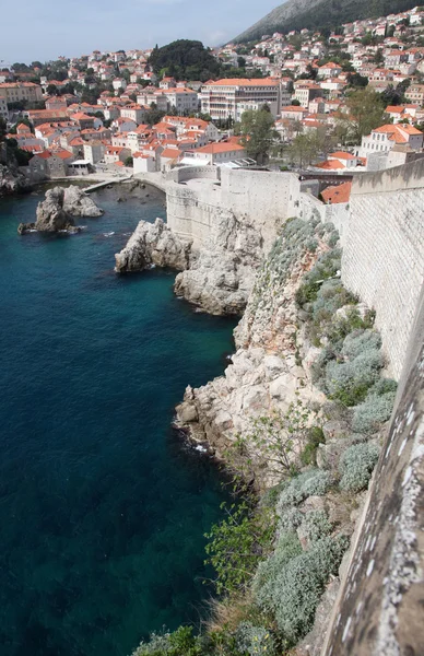 Dubrovnik surları — Stok fotoğraf