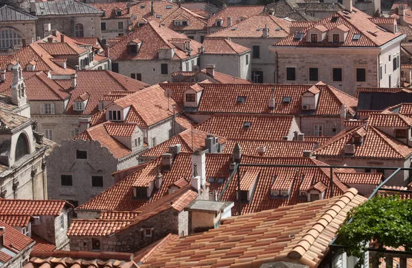 Rote Dächer von Dubrovnik — Stockfoto