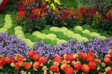 Flowers in garden clipart